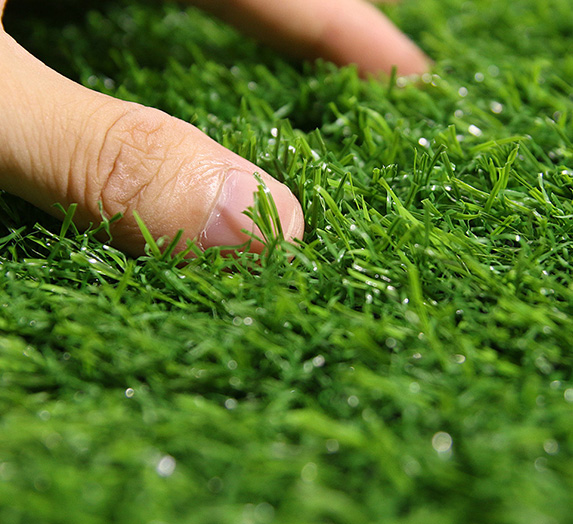 Small grass